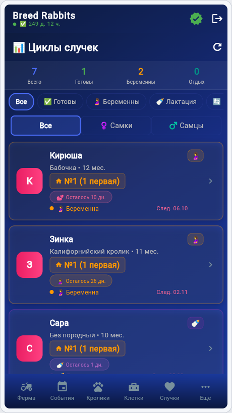 Циклы случек Breed Rabbits