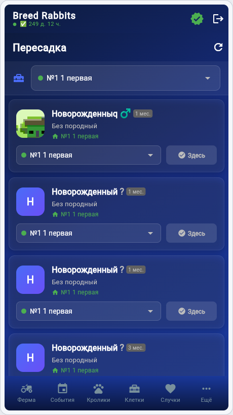 Пересадка Breed Rabbits