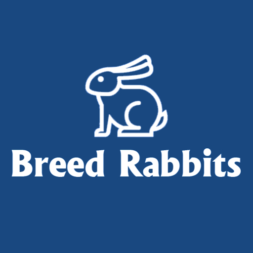 Breed Rabbits